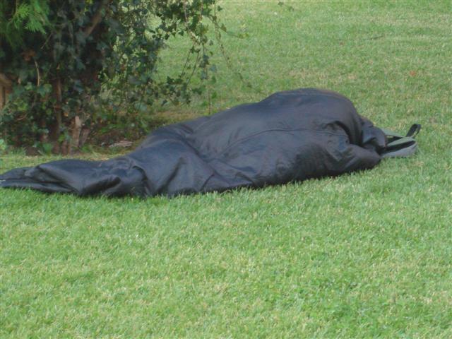 [DSC03368+(Small).JPG]