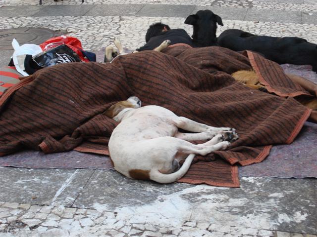 [DSC04409+(Small).JPG]