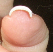 Loo Ready Set File Square Nails With A High Arching C Curve Can Easily Achieve This Nail Shape And Require The Least Amount Of Filing If Your Is Not As Arched You May Need