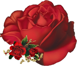 A vida é bela como esta rosa, mas tem muitos espinhos também, é preciso saber  superar tudo.