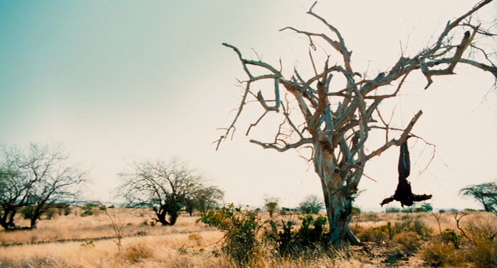 The Film Sufi The Constant Gardener Fernando Meirelles 2005