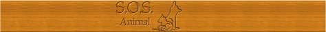 [Logo_SOSAnimal_Madeiramini4.jpg]