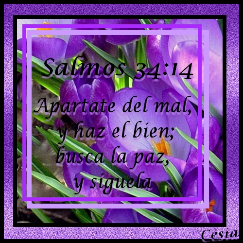 Salmos+Biblicos+En+Español ... con facebook compartir en pinterest etiquetas pasajes bíblicos en