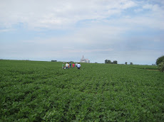 Argentina Agriculture