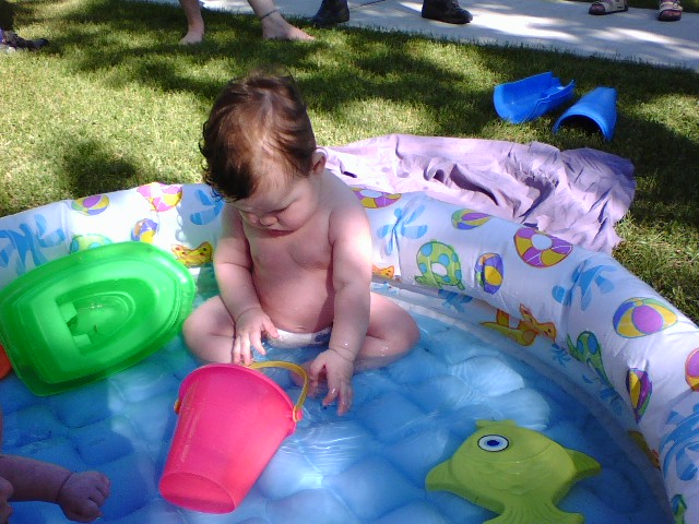 Gracie in pool in Helena