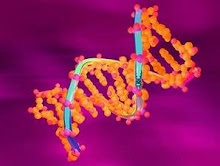 DNA sbg Obat Aman Hemofilia