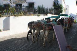 El pintando a Mijas