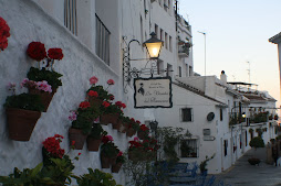 UNA CALLE BLANCA Y CON FLORES