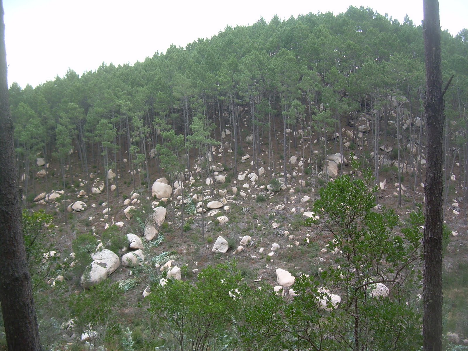 [DSCN9394.JPG]