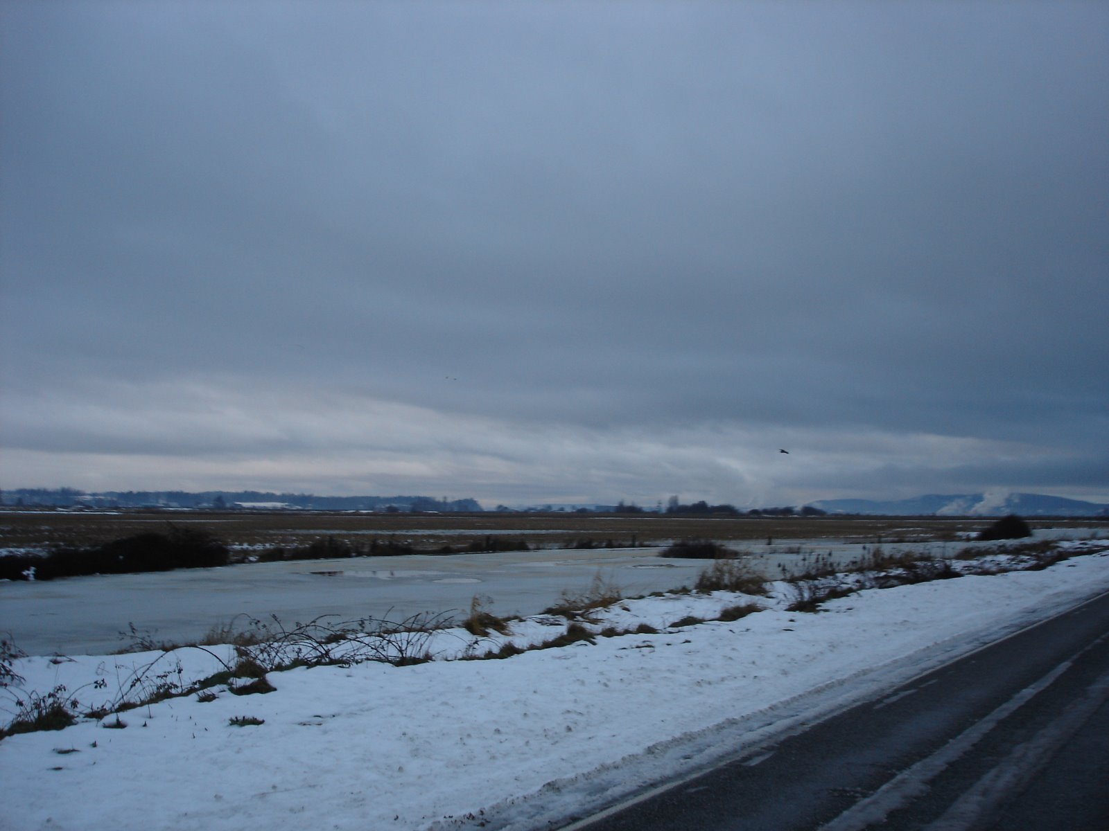[DSC01005.JPG]