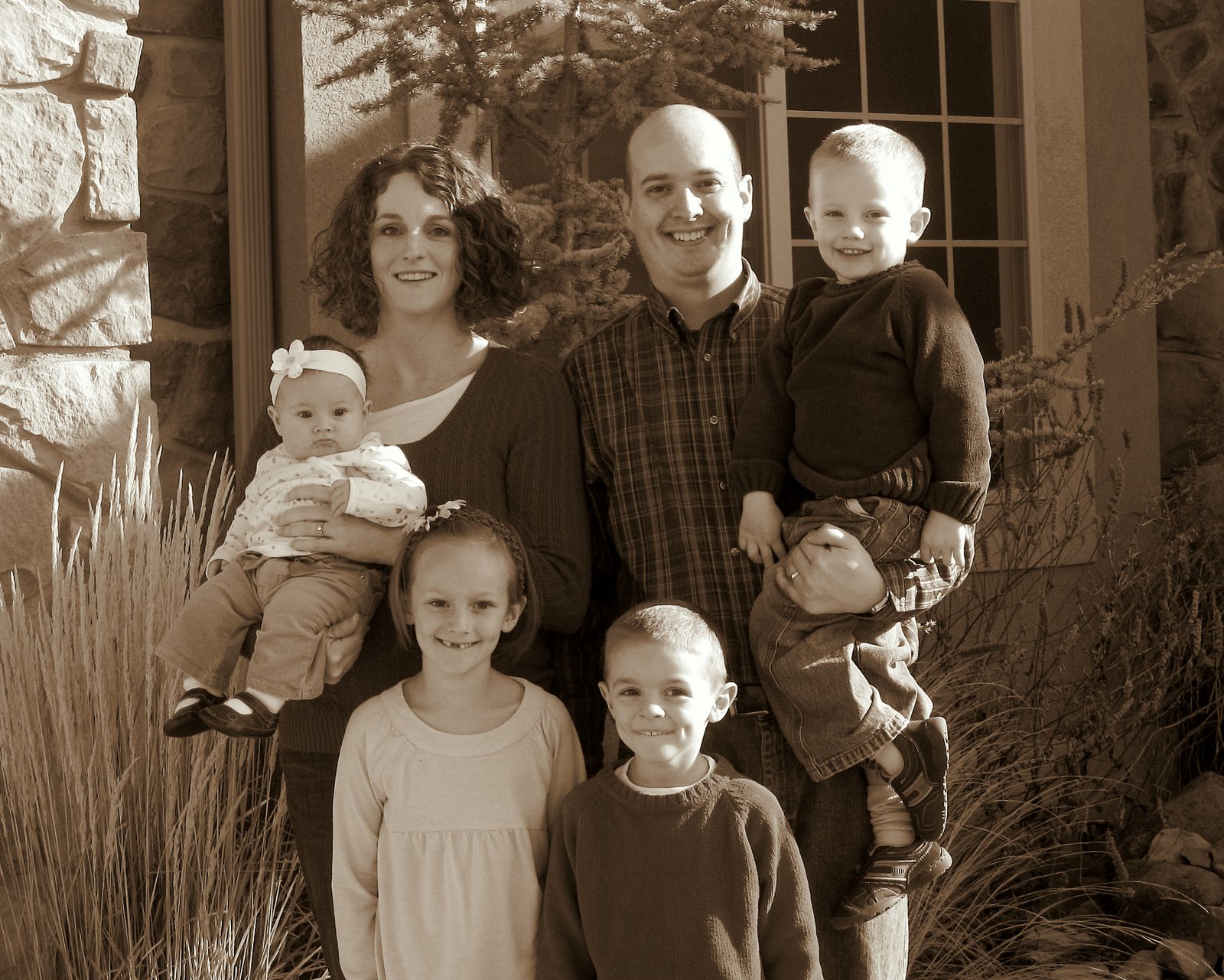 the Stott's