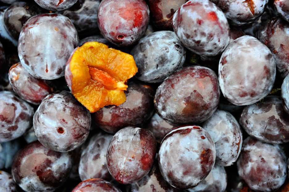 Robin Loznak Photography Prunes Drying