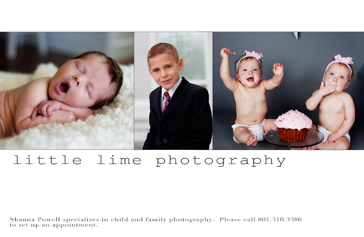 little lime photography