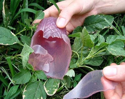http://2.bp.blogspot.com/_zOMSlWh4gL8/TE6HMQAIXUI/AAAAAAAAAuo/WQYKOW0GqmQ/6.jpg