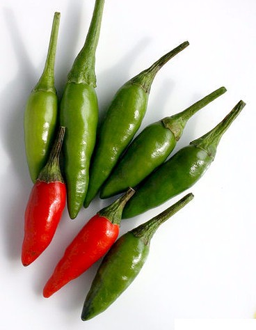 Thai+pepper