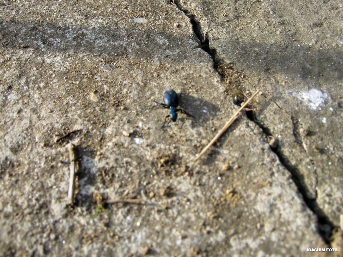 [IMG_6111.JPG]