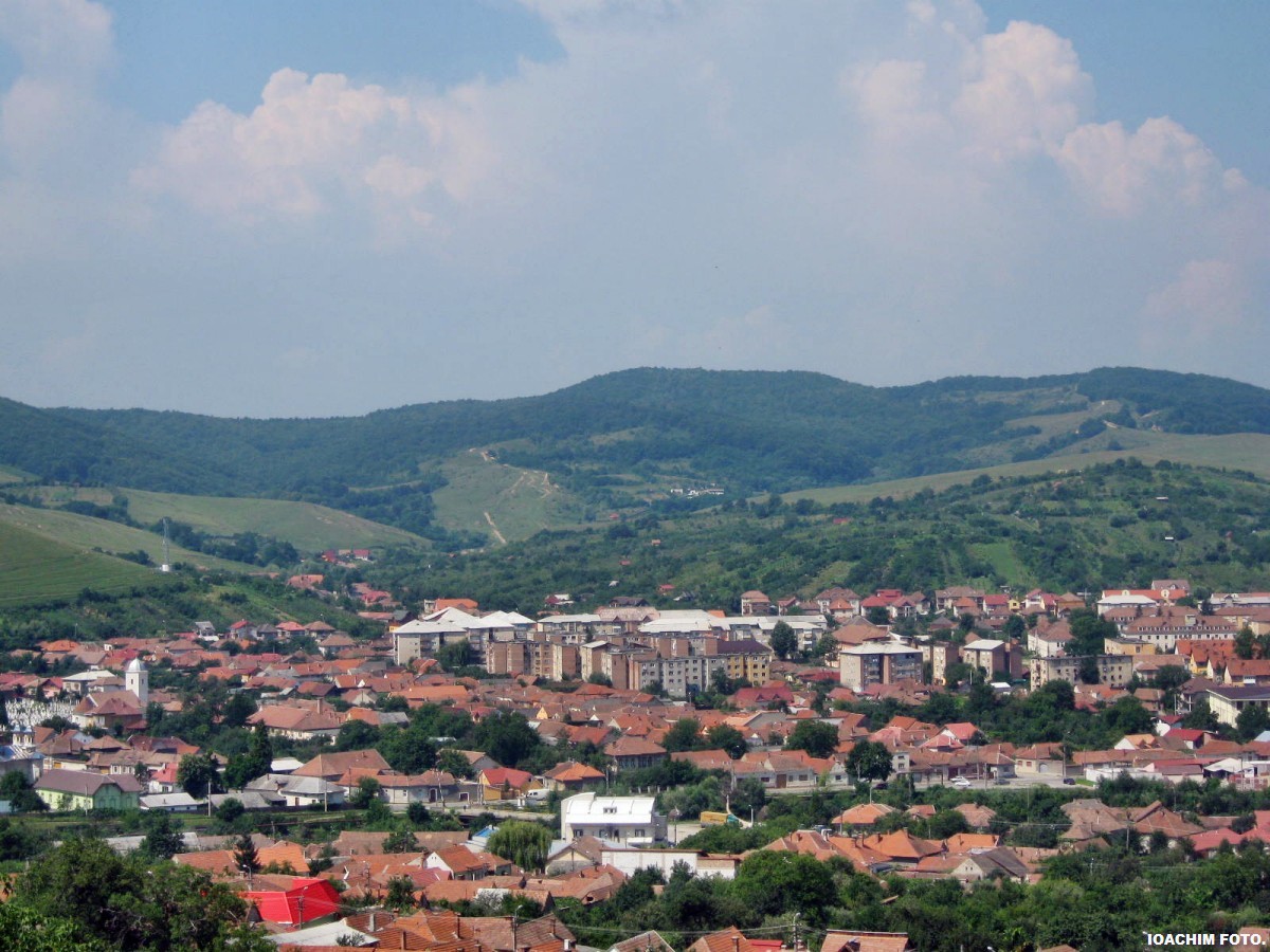 [IMG_0926.JPG]