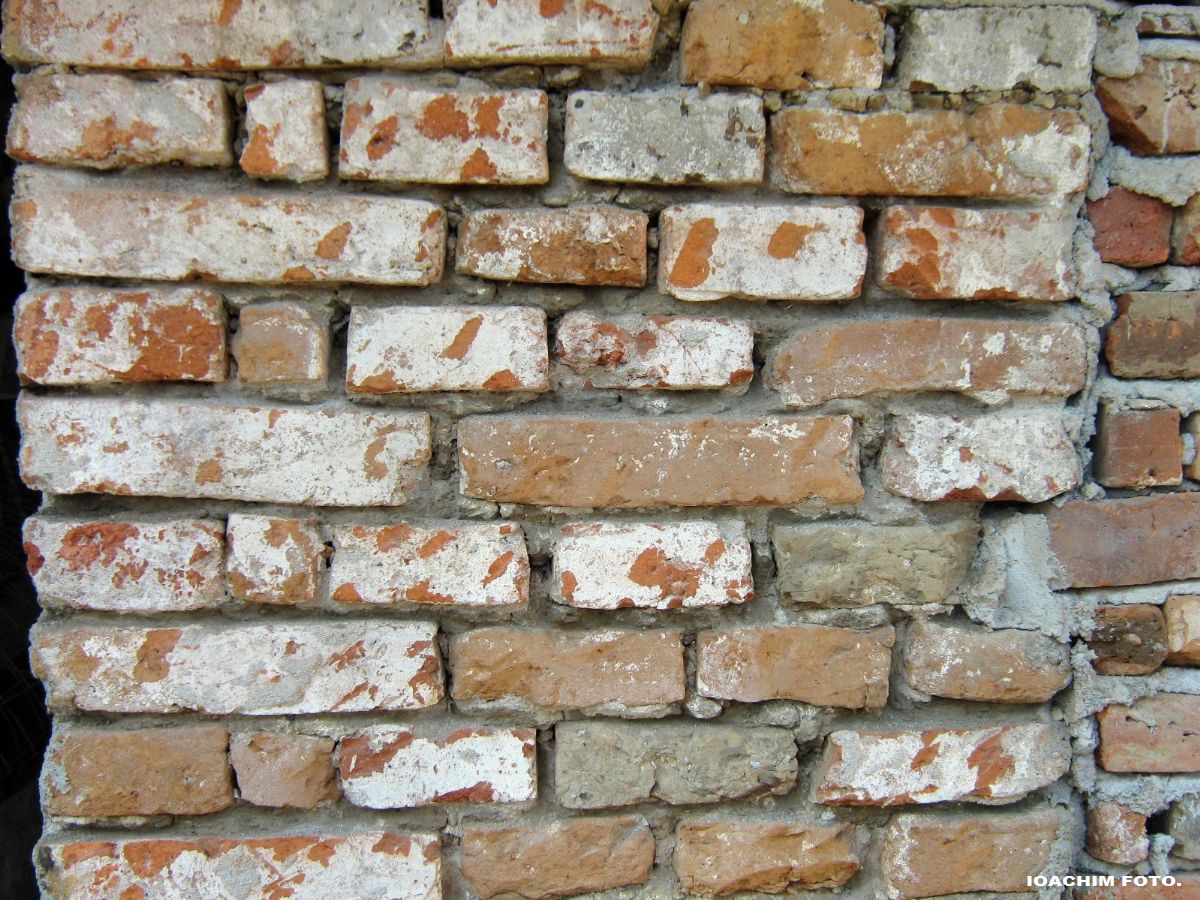 [foto+romos2009+10.JPG]
