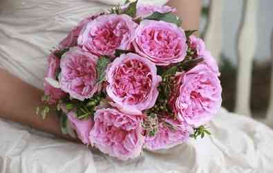 David Austin Flowers