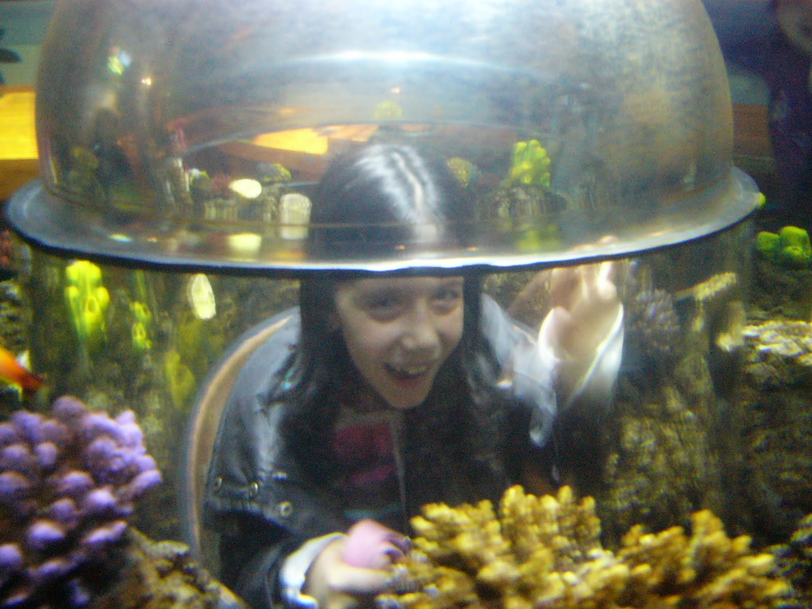[L1040585.JPG]