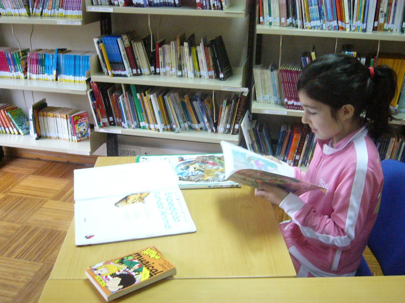 [L1040478.JPG]