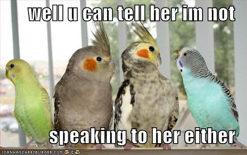 [funny-pictures-birds-not-speaking-parrots.jpg]