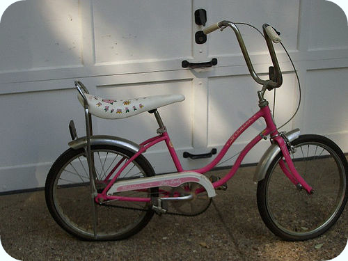 [5883540_393f2e3839.jpg]