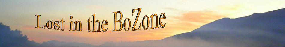 Lost in the Bozone