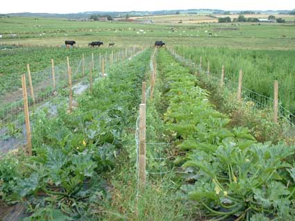 Farms and Agriculture Farms and Agriculture