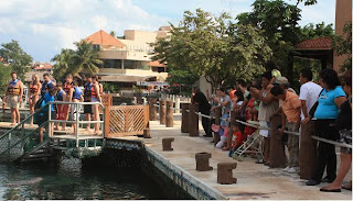 Turismo para extranjeros: los gringos lo disfrutan, los mexicanos miran cómo ellos se divierten