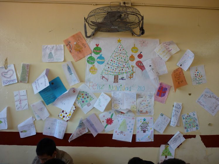 ARBOLITO NAVIDEÑO DISEÑADOS POR EL GRUPO DEL PRIMER AÑO D CON PURAS TARJETAS NAVIDEÑAS