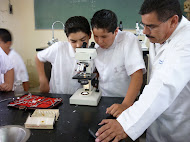 PLANES DE TRABAJO Y PROGRAMAS DE CIENCIAS MUY BIEN EXPLICADOS 2010