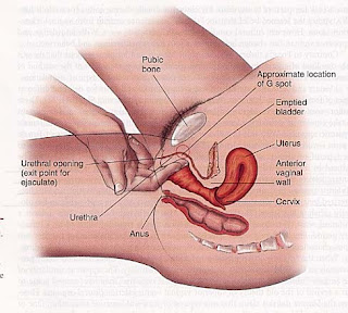 http://2.bp.blogspot.com/_zQj475e1CrI/THXuIYeB_5I/AAAAAAAADcs/JvywSn8Q3rI/s1600/gspot.jpg