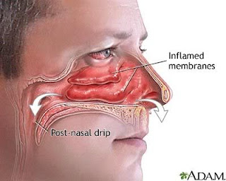 Perbedaan Fungsi Lubang Hidung Kanan dan Kiri