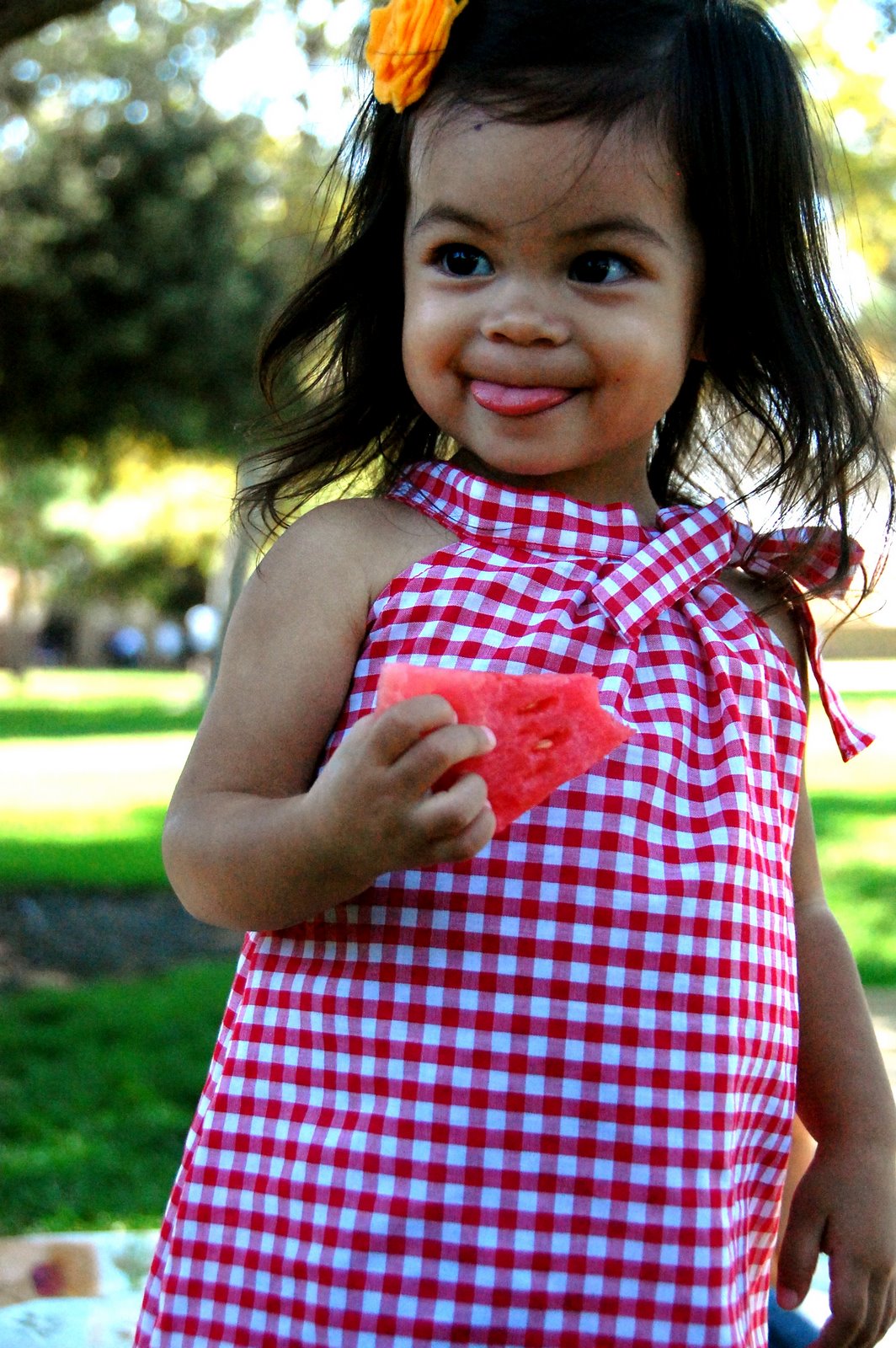[DSC_0188.JPG]