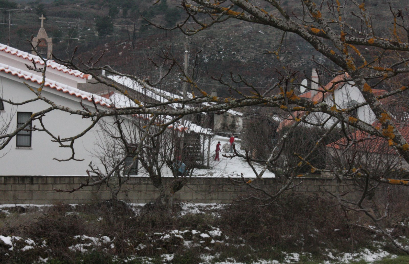 [IMG_0676.JPG]