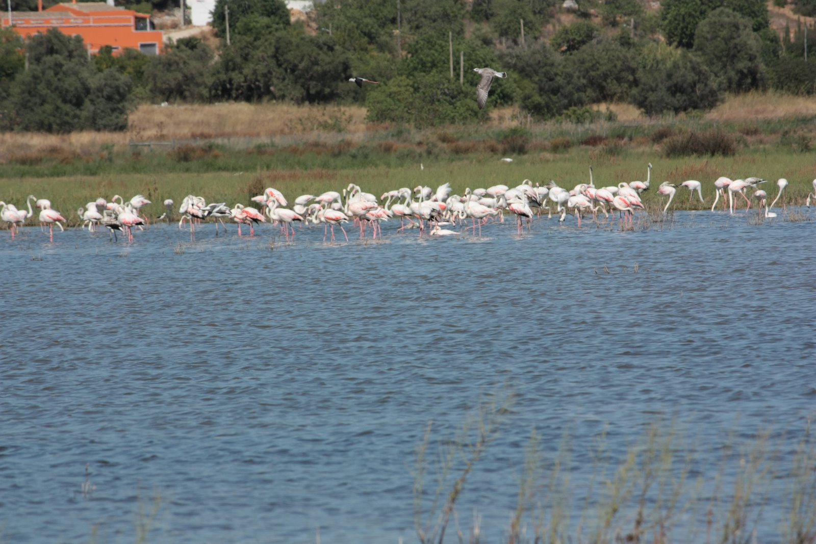 [IMG_5769.JPG]