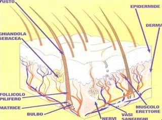 incontro donne bergamo jesolo