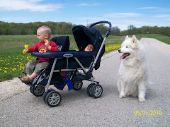 The boys and Mo on their Walk
