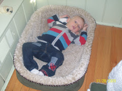 Sy in the dogbed!