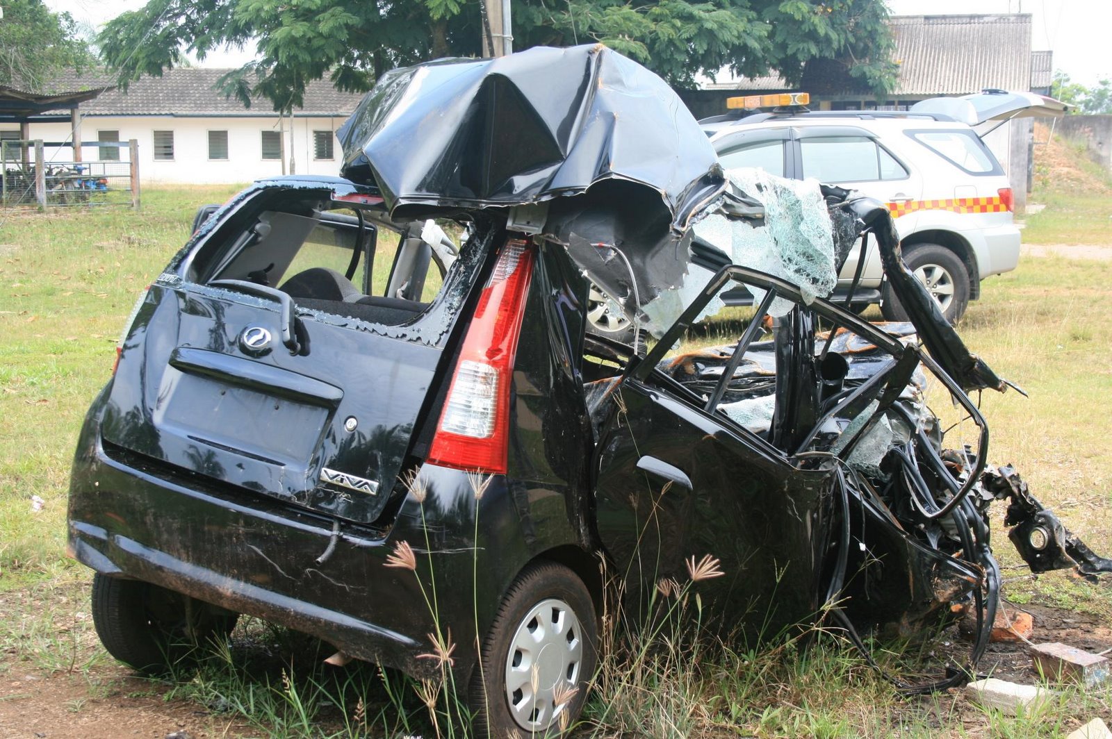 [Picture+233ed.JPG]