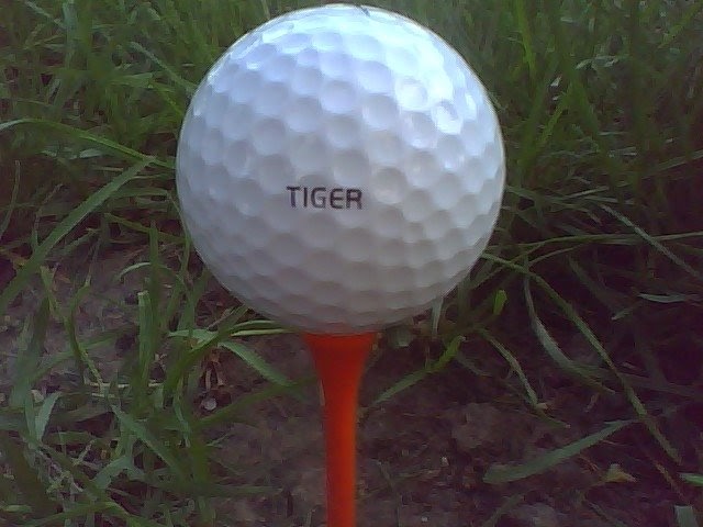 golf ball tiger uses