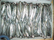 Capelin (Mallotus villosus): 35-40 pcs/kg