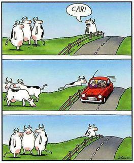 [gary_larson_cows.jpg]