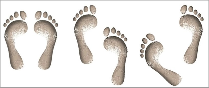 [feet_samples.jpg]