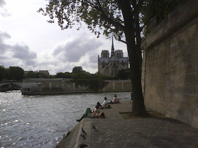 Sitting at the Saine and looking at the lower back of Notre Dame