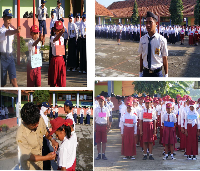 MOS 2010/2011
