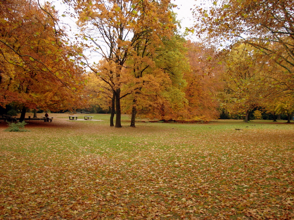 [DSC01739.JPG]