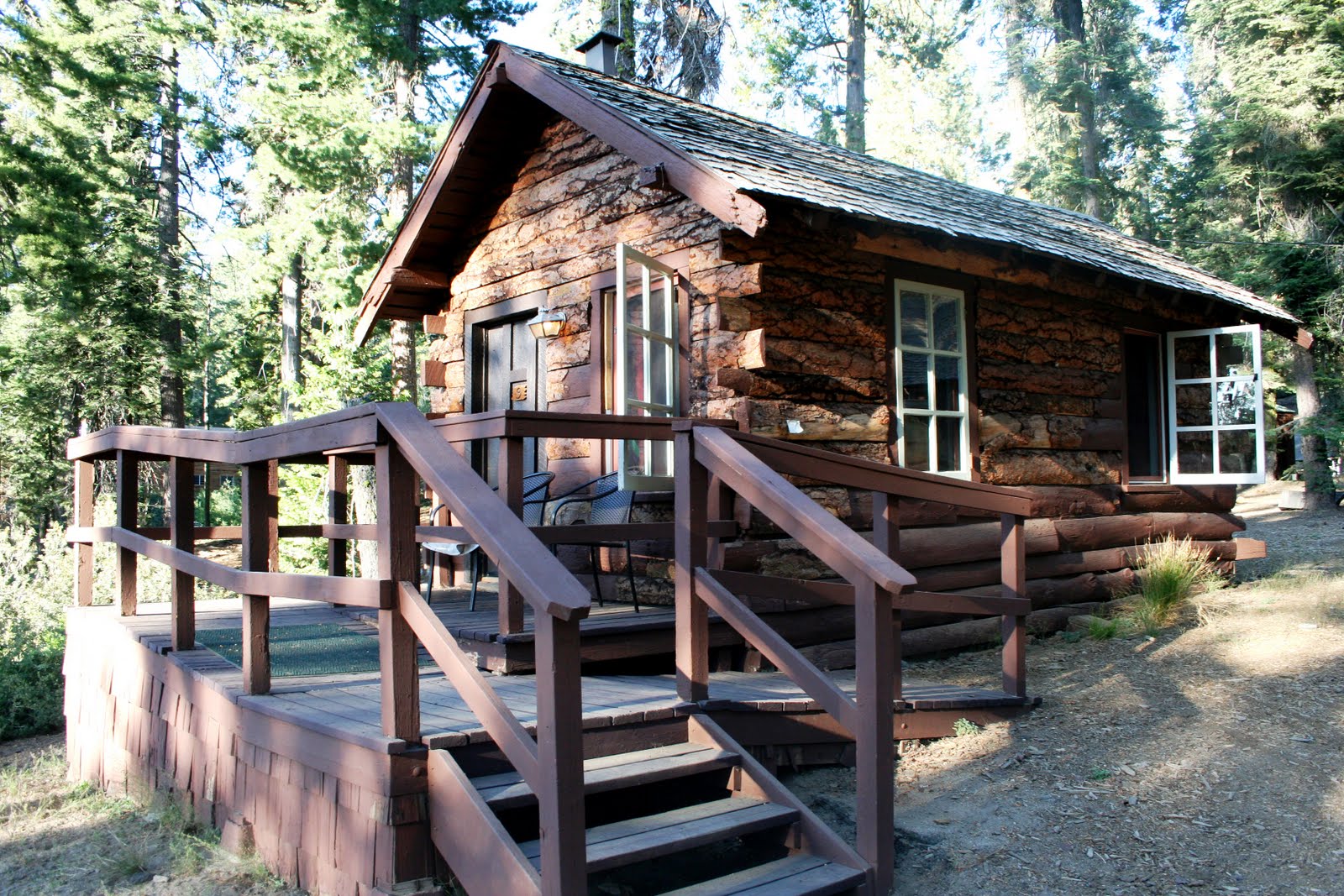 Cinnamon Thoughts New Destination 1 Sequoia Kings Canyon Np