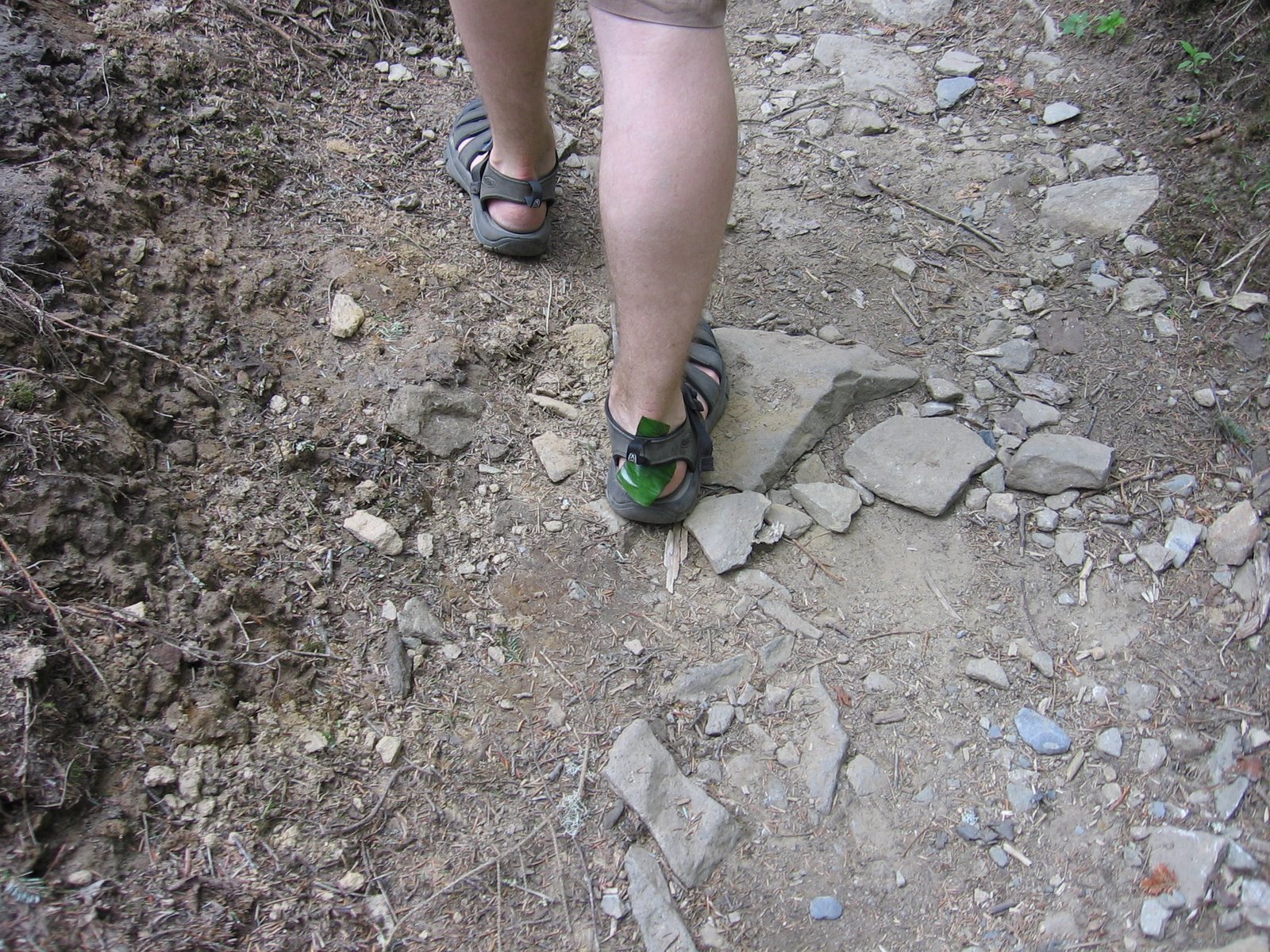 [IMG_5423.JPG]
